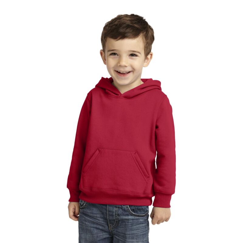 Toddler Pullover Hooded Sweatshirt Thumbnail